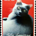 "Felis domesticus" 40"x 30"